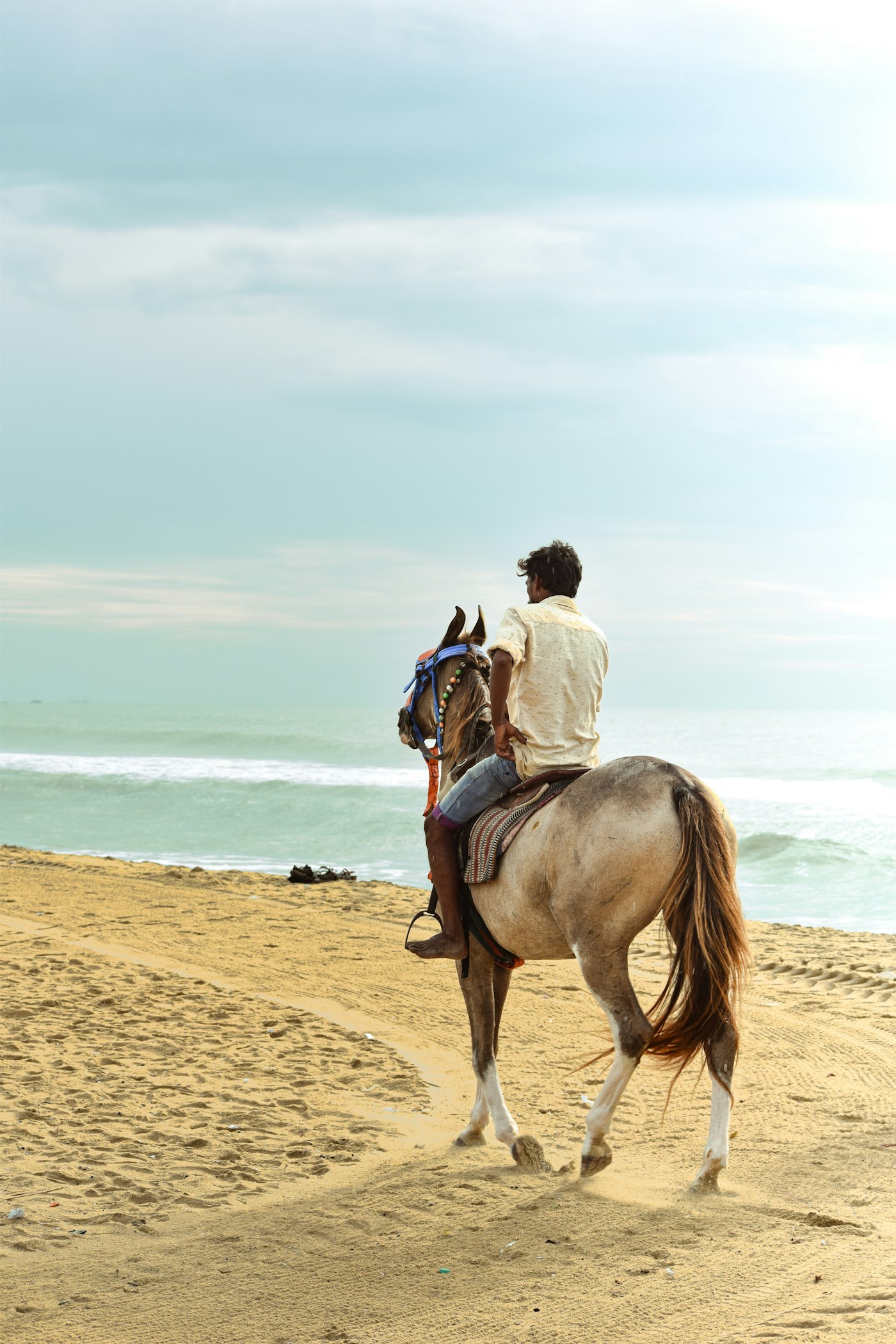A rider on horseback moving along a sandy shoreline beside the sea